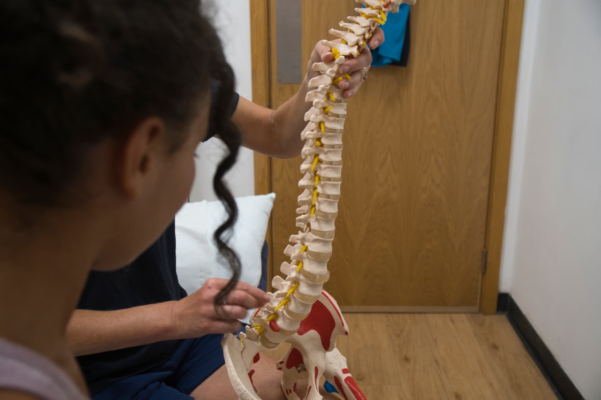 Physiotherapist using a spine model to explain how the jaw, neck and posture are linked
